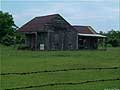 Guy Fanguy - Artist - Photographer - Guy Fanguy - Towns - Louisiana - Theriot (9).jpg Size: 58827 - 14